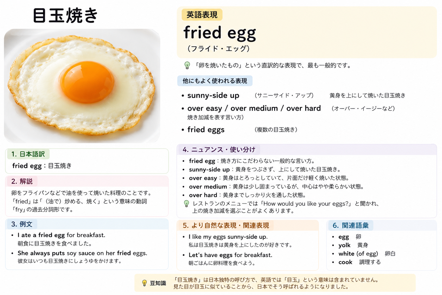 動画で作成した英単語カード（fried egg / 目玉焼き）